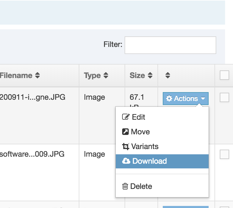 Screenshot of the Media Library Download option