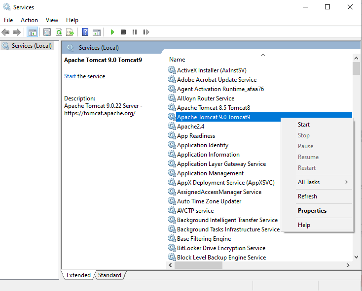 Tomcat 9 installation Services screen