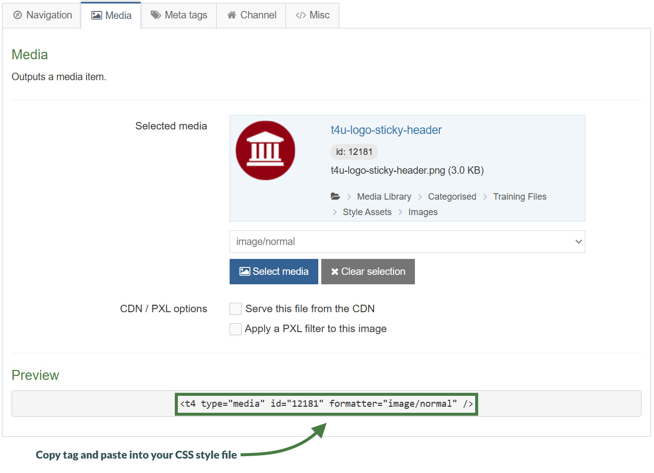 T4 Tag for Sticky Header Logo