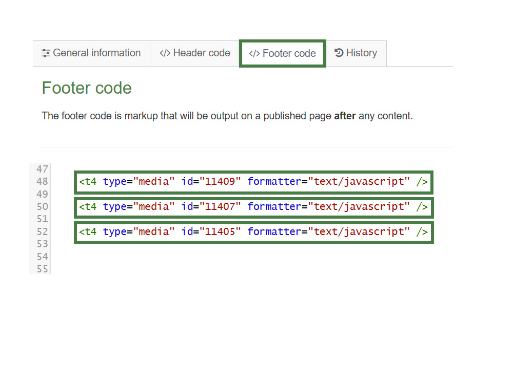 T4 Tags of Javascript Files (Page Layout) Footer Code