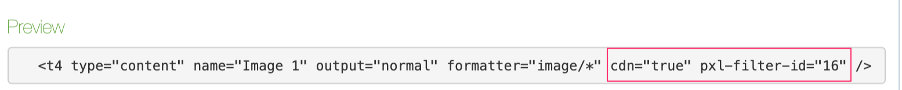 T4 Tag preview with CDN/PXL attributes