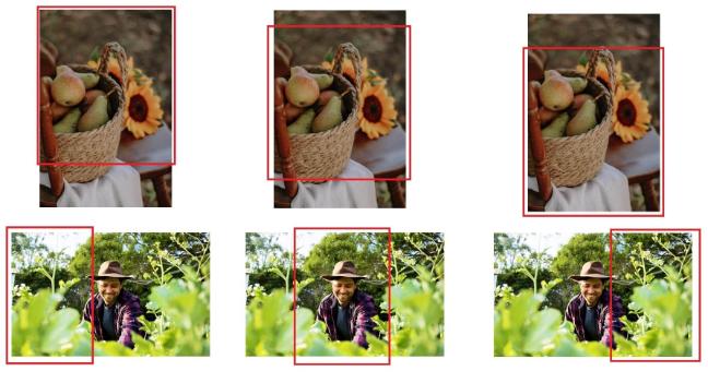 Screenshots showing example of how different images would be cropped to make a portrait image